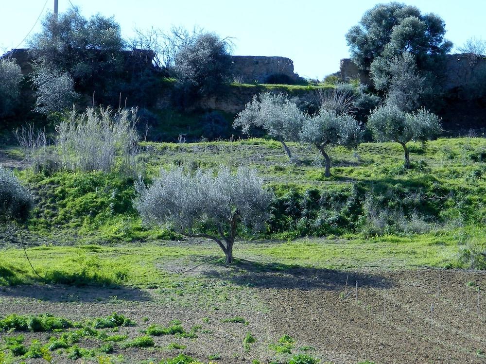 Agriturismo Passo Dei Briganti Agrigento Exterior foto